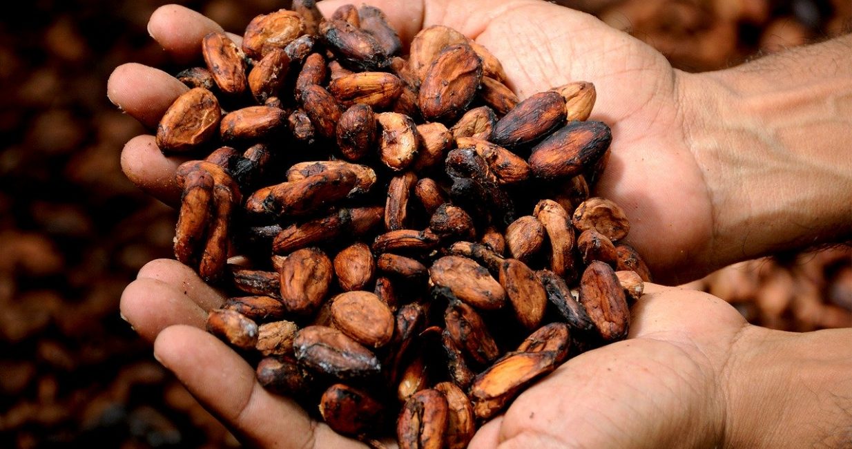 Five benefits of cacao paste